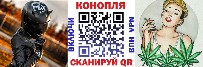 Наркошоп купить ГАШ  Псилоцибиновые грибы  МЕФ  Амфетамин  Каннабис  Cocaine  Новомичуринск