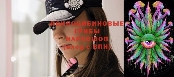 скорость Липки