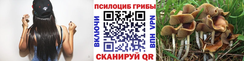 Псилоцибиновые грибы прущие грибы  Купить закладки  Новомичуринск 